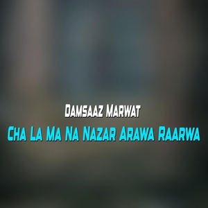 Обложка для Damsaaz Marwat - Cha Ta Ya Rasara