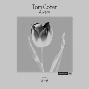 Обложка для Tom Cohen - Awake