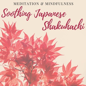 Обложка для Shakuhachi Sakano, Ethereal Destiny - Quiet Moments of Meditation