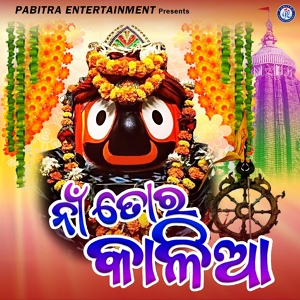 Обложка для Sangita Mishra - Na Tora Kalia