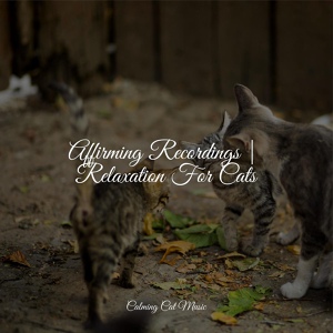 Обложка для Cat Music Dreams, RelaxMyCat, Calm Music for Cats - Meditation Music
