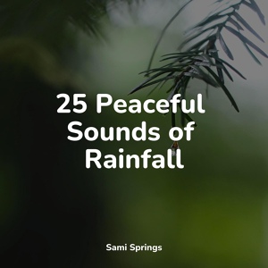 Обложка для Meditation Awareness, Relajación, Nature Sound Series - Rainforest Rains