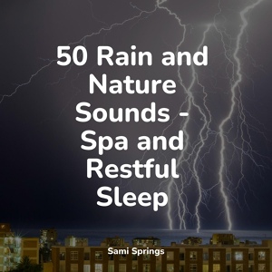 Обложка для Nature & Sounds Backgrounds, Sounds of Rain & Thunder Storms, Soothing Baby Music - Rain, Urban, Lightning, Concrete