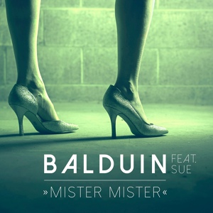 Обложка для Balduin feat. Sue - Mister Mister