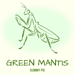 Обложка для Gummy Pie - Green Ascent