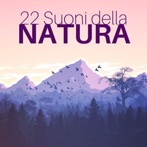 Обложка для Natura Avventura - Oasi Naturale