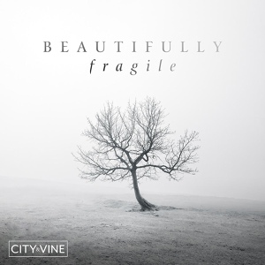 Обложка для City & Vine - The Realisation