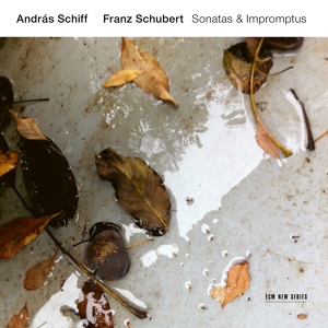 Обложка для András Schiff - Schubert: Piano Sonata No. 20 in A Major, D. 959 - 4. Rondo (Allegretto)