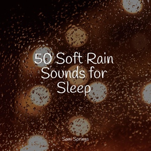 Обложка для Nature's Symphony, Sample Rain Library, Rain Recorders - Stream, Constant, Flowing, Midday