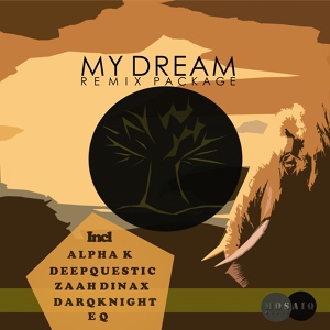 Обложка для DarQknight - My Dream (feat. Lungi Mandebele)