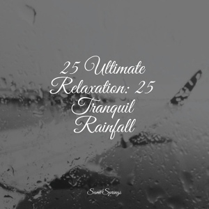 Обложка для Sonido Del Bosque y Naturaleza, Brown Noise, Kundalini: Yoga - Drops of Rain