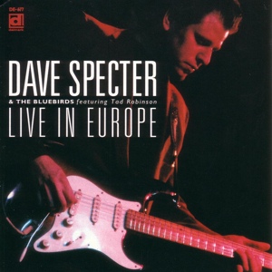 Обложка для Dave Specter And The Bluebirds - On The Outside Looking In