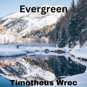 Обложка для Timotheus Wrec - Evergreen