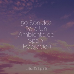 Обложка для Relajante, Natureza Musica Bem-Estar Academia, Masaje Relajante Masters - Onda Especial