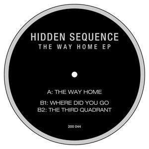 Обложка для Hidden Sequence - Where Did You Go