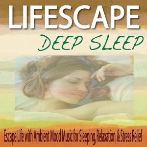 Обложка для Robbins Island Music Group - Sleep Soundscapes