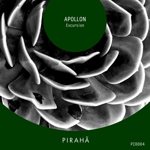 Обложка для Apollon - Excursion