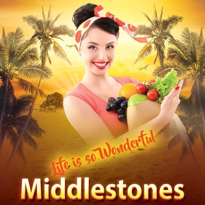 Обложка для Middlestones - Life Is so Wonderful