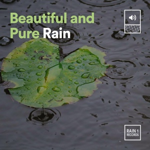 Обложка для 24H Rain Sounds - High Rain