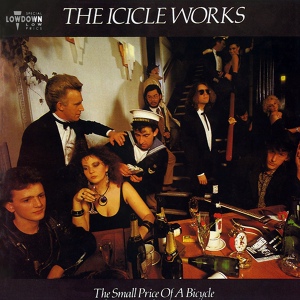 Обложка для The Icicle Works - Assumed Sundown