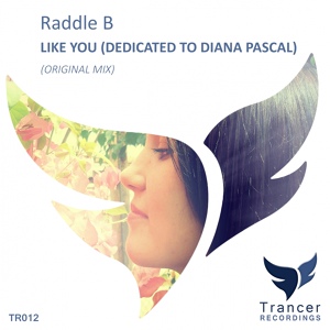 Обложка для Raddle B - Like You (Dedicated To Diana Pascal) (Original Mix)