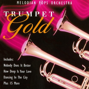 Обложка для Melodian Pops Orchestra - How Deep Is Your Love