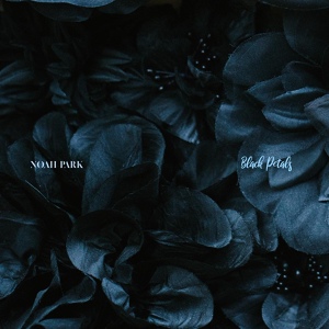 Обложка для Noah Park - Black Petals