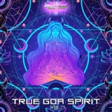 Обложка для Doctor Spook - True Goa Spirit, Vol. 7