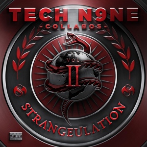 Обложка для Tech N9ne Collabos feat. Rittz, Darrein Safron - We Just Wanna Party (feat. Rittz & Darrein Safron)