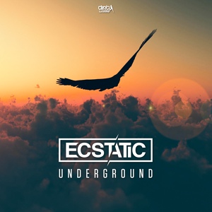 Обложка для Ecstatic - Underground