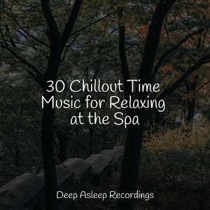 Обложка для Spa Music Collective, Classical Lullabies, Alpha Waves - Tranquil Vibrations