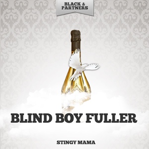 Обложка для Blind Boy Fuller - You Never Can Tell