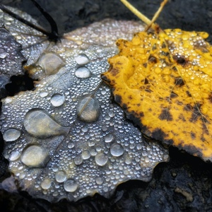 Обложка для Lluvia PQ, Sonidos de la Naturaleza, Piano para Relajarse - Corrientes Sinuosas