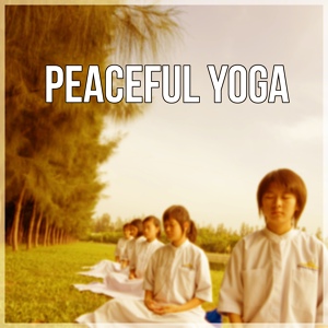 Обложка для Meditation Yoga Music Masters - Never Say Never to Meditation