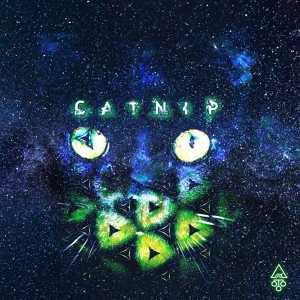 Обложка для Asteroid 385 - Catnip