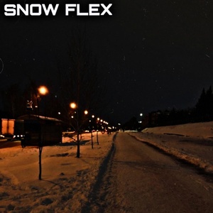 Обложка для blxckfvde - SNOW FLEX