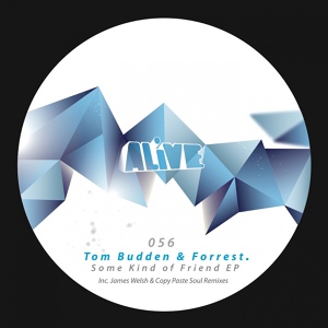 Обложка для Tom Budden, Forrest - Get Up In My Head