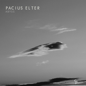 Обложка для Pacius Elter - Abyss (Original Mix)