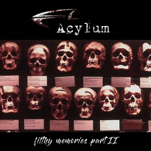 Обложка для Acylum - Evolve (feat. Animassacre)