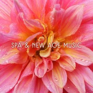 Обложка для New Age - Spa Music: Soothing Ringtones