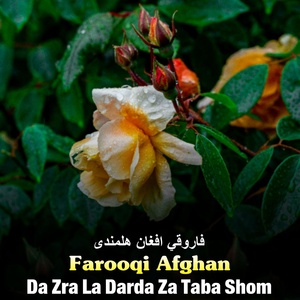 Обложка для Farooqi Afghan - Da Dera Darda