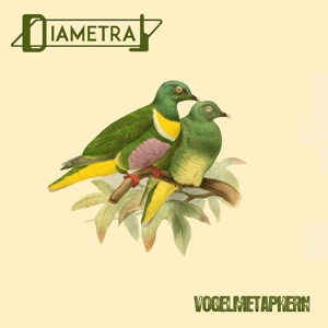 Обложка для Diametral - Vogelmetaphern