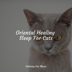 Обложка для Jazz Music for Cats, Cat Music Therapy, RelaxMyCat - Calm Music