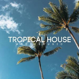 Обложка для AndrisMusic - Tropical House