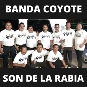 Обложка для Banda Coyote - 20 Mujeres de Negro
