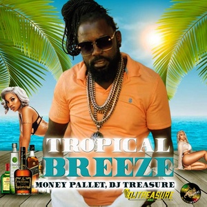 Обложка для Money Pallet, DJ Treasure, Aktion Motion feat. Geral Musik - Tropical Breeze