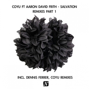 Обложка для Coyu feat. Aaron David Frith - Salvation