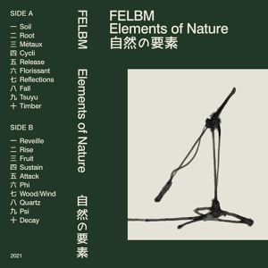Обложка для Felbm - Fruit