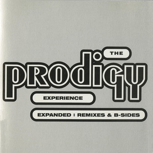 Обложка для The Prodigy - Ruff In The Jungle Bizness