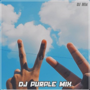 Обложка для DJ Purple Mix feat. Andy Adrian - DJ 8 Letters x Suling Sakti Funky Night
